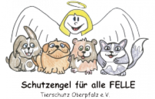 Logo-Schutzengel.png